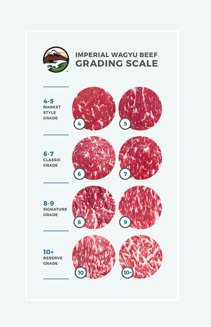 Wagyu Grading Chart