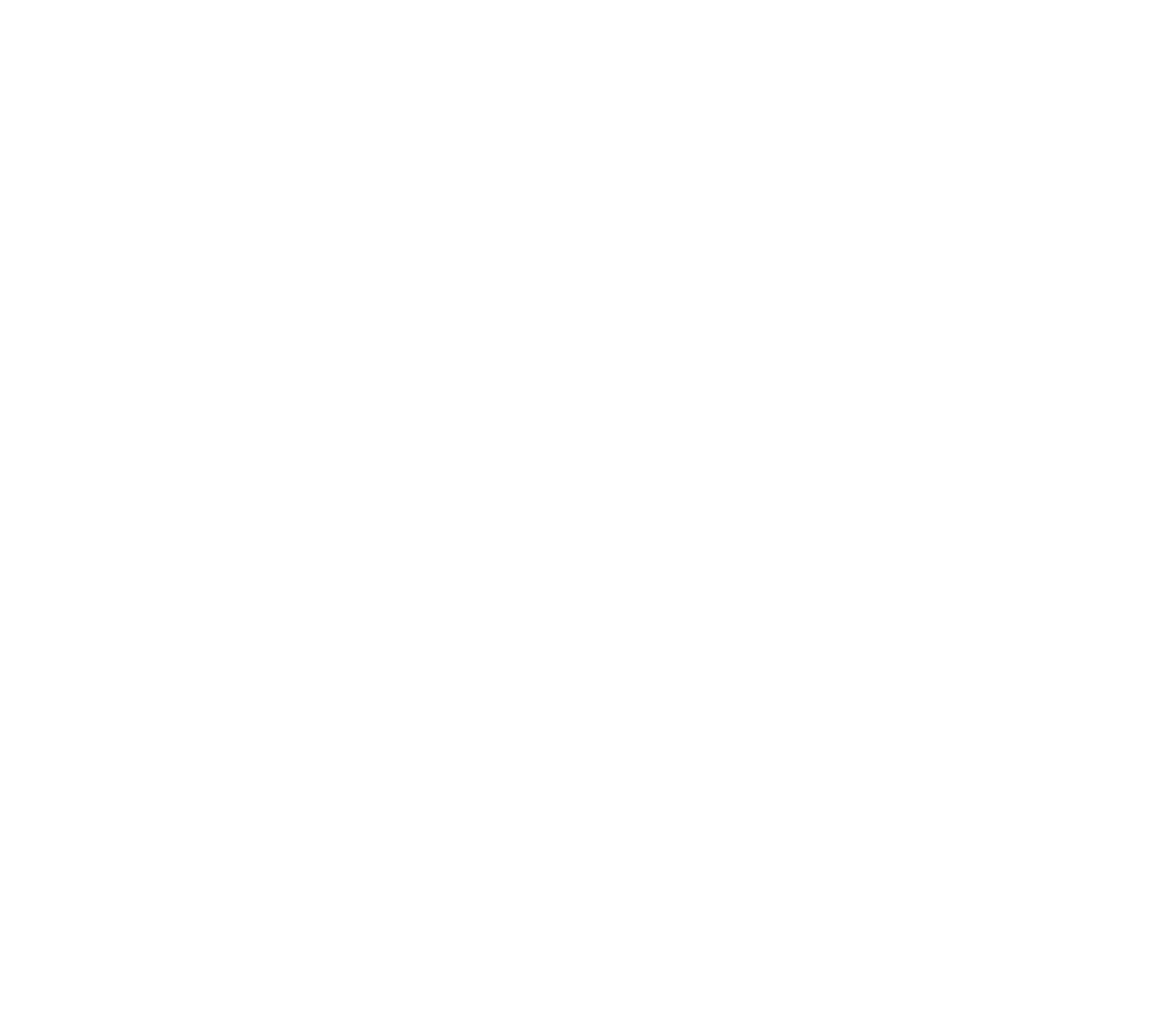 Slow Cook icon